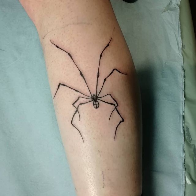 Daddy Long Legs Spider Tattoo